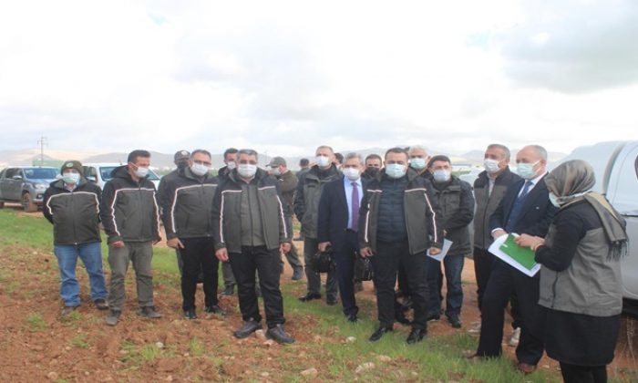 Özel Ağaçlandırma ve Rehabilitasyon Projesi sonuç vermeye başladı